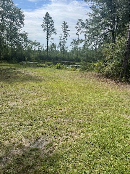 11226 Clarence Bennett Rd, Sanderson, FL 32087