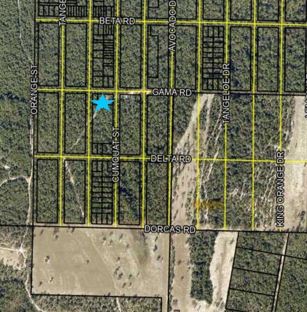 0 Mangerine Dr Unit 939063, Crestview, FL 32539