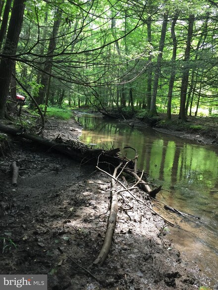 0 Amberson Rd Unit 23.73 ACRES, Spring Run, PA 17262
