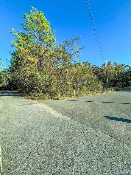 11 Wilson St SE, Attalla, AL 35954