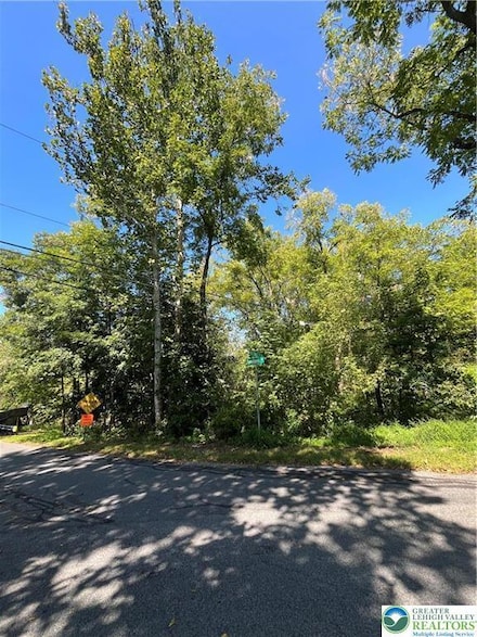 0 Millrace Rd Unit 757597, Allen Township, PA 18067