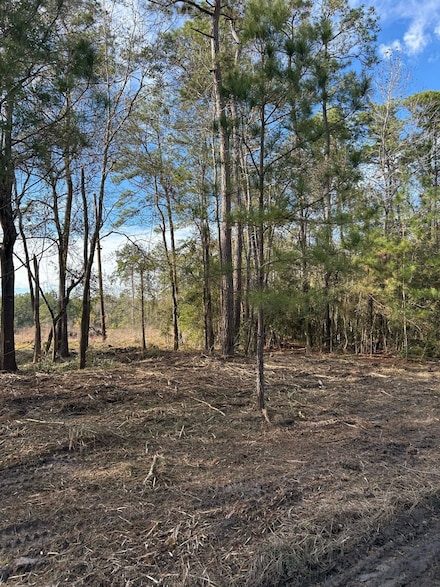 0 Atlantic Dr, Atascocita, TX 77346
