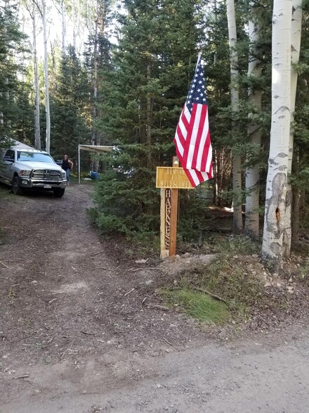 803 Wildflower Dr Unit 34, Cimarron, CO 81220