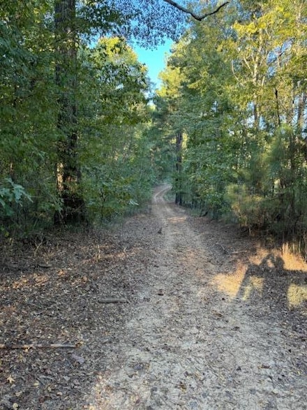 McBride Hudson Rd, Pattison, MS 39144