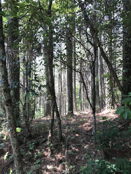 0 Hiwassee St Unit RTC2551162, Ducktown, TN 37326