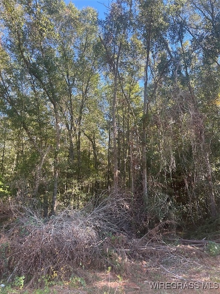 TBD County Road 105 Hwy, Ozark, AL 36360