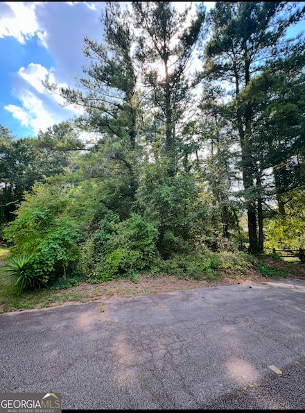 250 Bermuda Dr NE, Rockdale, GA 30013