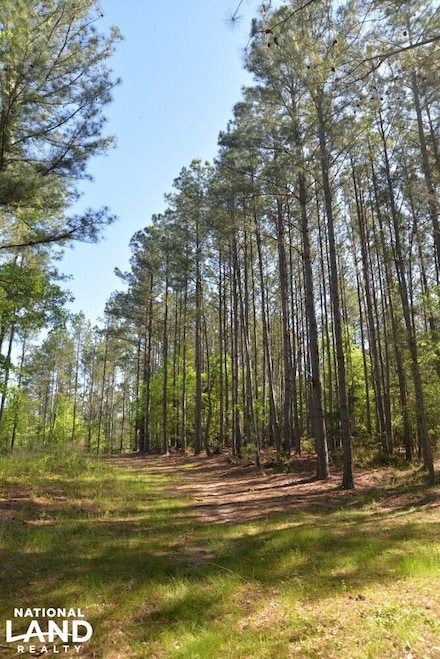 0 Stone Rd Unit 22238957, Chester, SC 29706