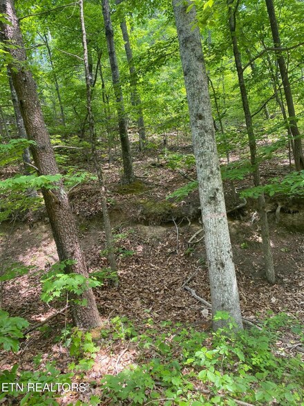 Lot 31 High St, Sevierville, TN 37876