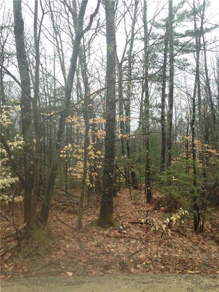 0 Rollins Ridge Rd Unit 1260404, Dixfield, ME 04224