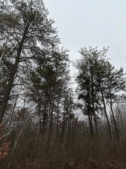 ON Prairie Lake Rd Unit 4069-13, Nokomis, WI 54487
