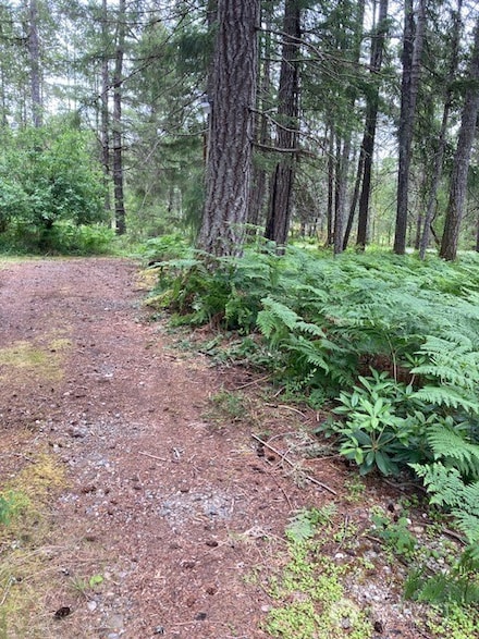 40 Silver Ln N, Hoodsport, WA 98548