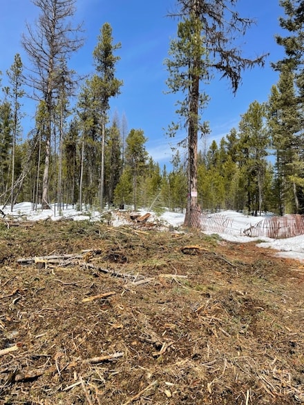 NKA Dirty Ike Creek Rd, Clinton, MT 59825