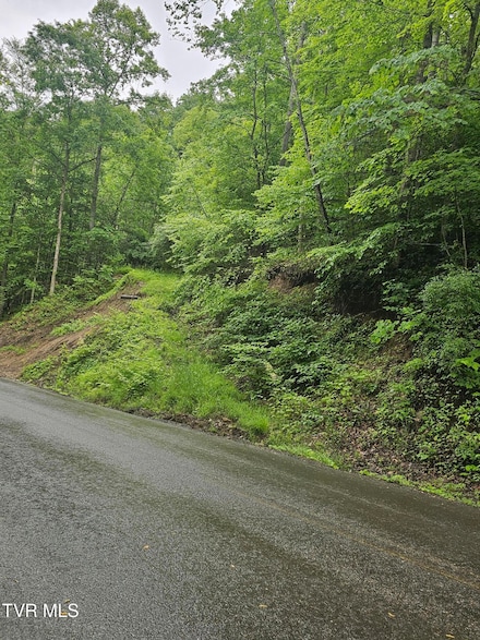 1068 Lesters Fork Rd, Grundy, VA 24614