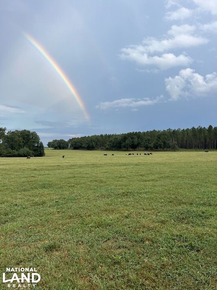 343 Jerusalem Rd, Clio, AL 36017