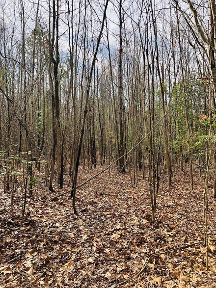 1 Boydton Plank Rd Unit 59, Brodnax, VA 23920