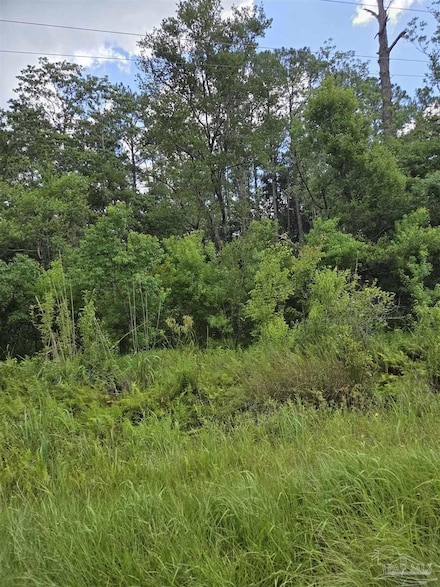 11210 County Road 95, Elberta, AL 36530