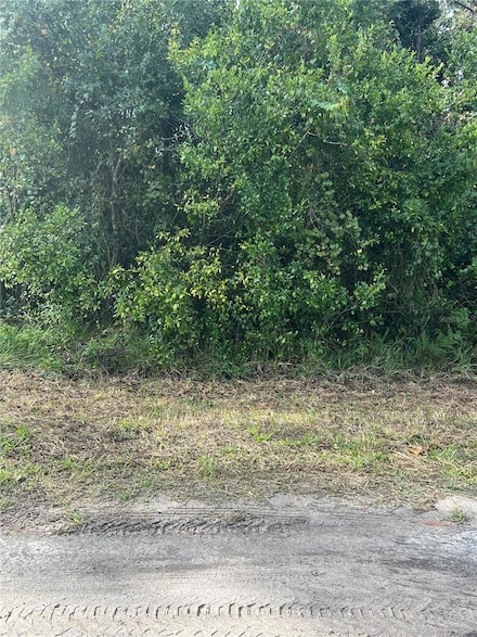 PT LTS 120-122 LK EU W Herrick Ave, Eustis, FL 32726