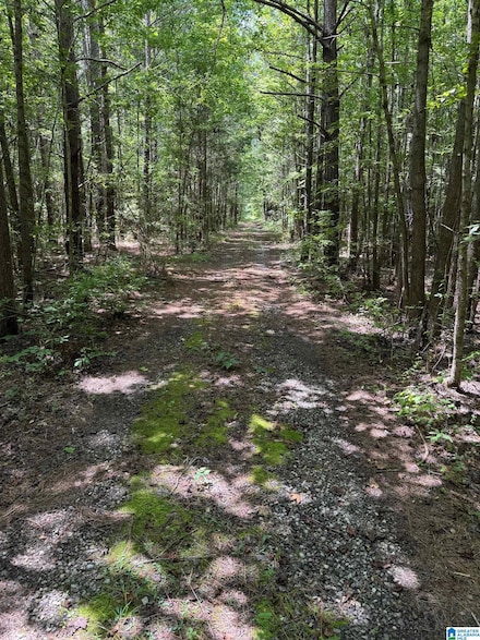 775 Concord Church Rd Unit 301.02 Ac., Talladega, AL 35160