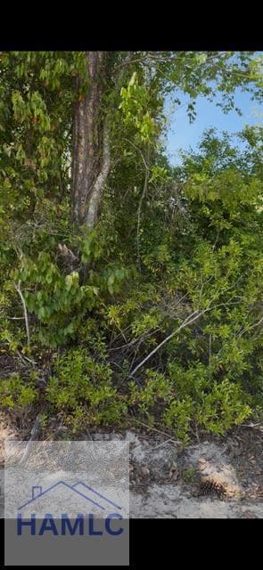 0N E Rd, Jesup, GA 31546