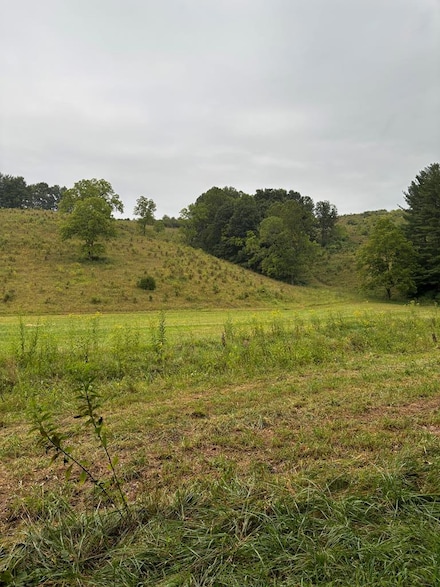 31435 Stevens Branch Rd, Londonderry, OH 45647