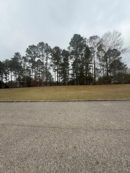Lot  3 Palos Verdes Dr, Troy, AL 36079