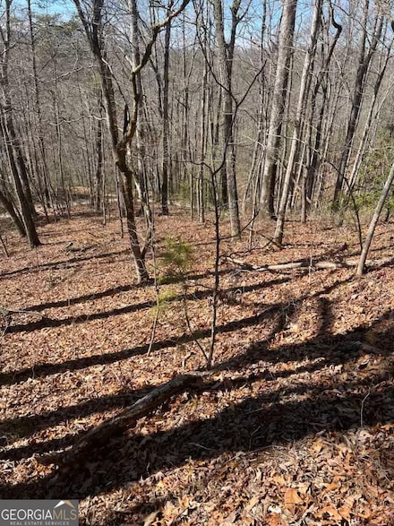 0 Timberland Trail, Franklin, NC 28734