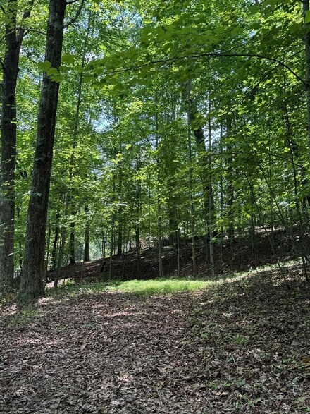 TRACT5 Arrow Ridge, McCaysville, GA 30555