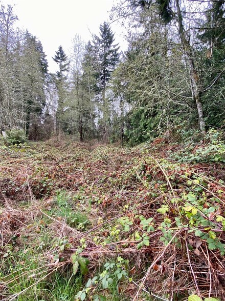 0 Mile Hill Rd SE Unit NWM2058811, Port Orchard, WA 98366