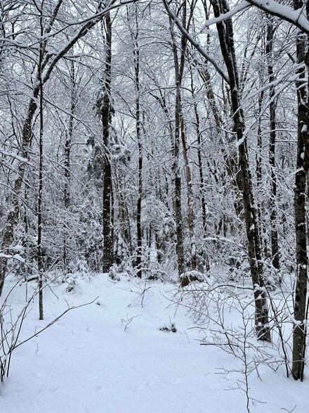 Map 213 Lot 36 Locke Ln, Lempster, NH 03605
