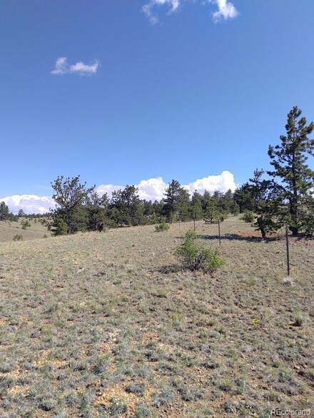 000 Running Bear, Hartsel, CO 80449