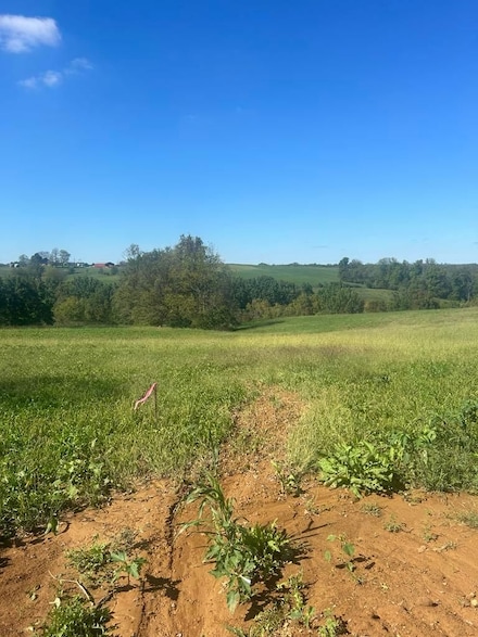 0 Hilltop Rd, Ewing, KY 41039