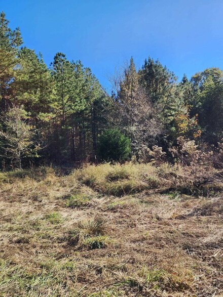 213 Beaver Dam Rd, Creedmoor, NC 27522
