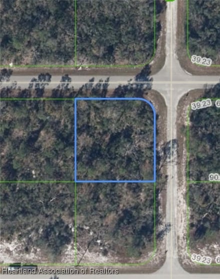 333 Boston Way, Lake Placid, FL 33852
