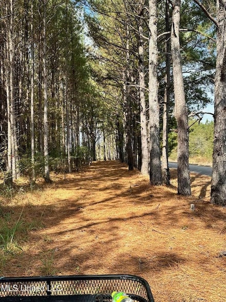 101 Harris Cove Unit 6, Carthage, MS 39051