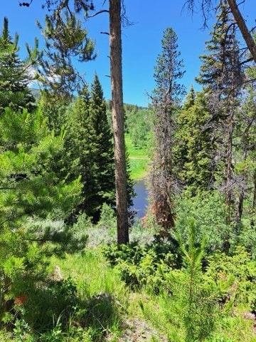32416 Ute Trail, Oak Creek, CO 80467