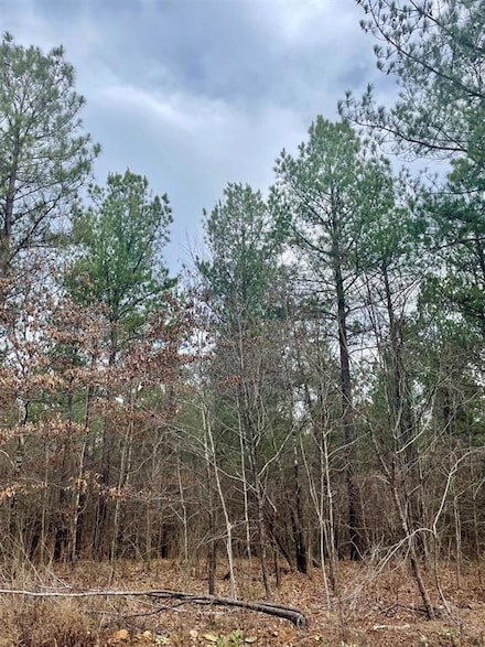 755 Timber Creek Trails South Xl, Broken Bow, OK 74728