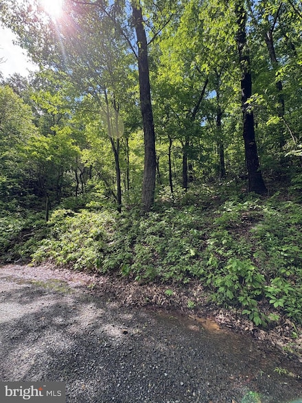 LOT 147 Tomahawk Trail, Shawneeland, VA 22602