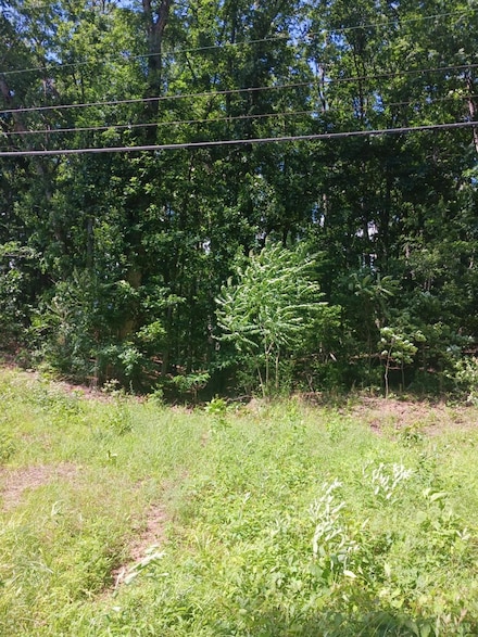 0 W Spencer Rd, Hurt, VA 24563