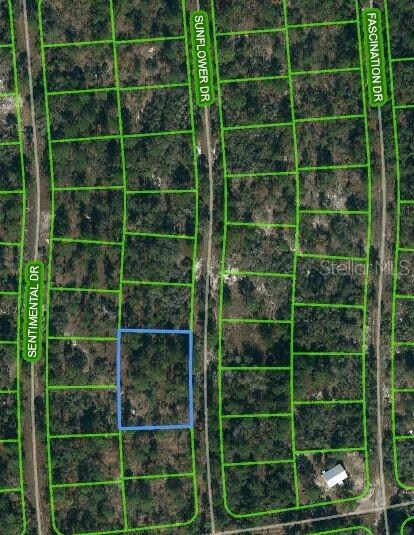 244 Sunflower Ave, Lake Placid, FL 33852