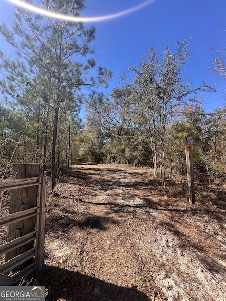 12 Thirteenth Ave, Saint George, GA 31562