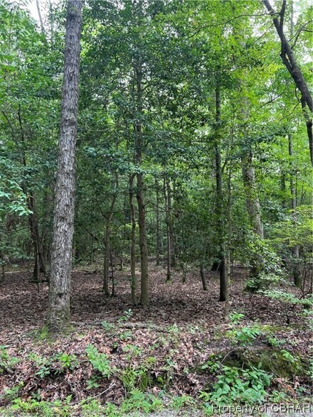 41 AC Ridgefield Rd, Mathews, VA 23109