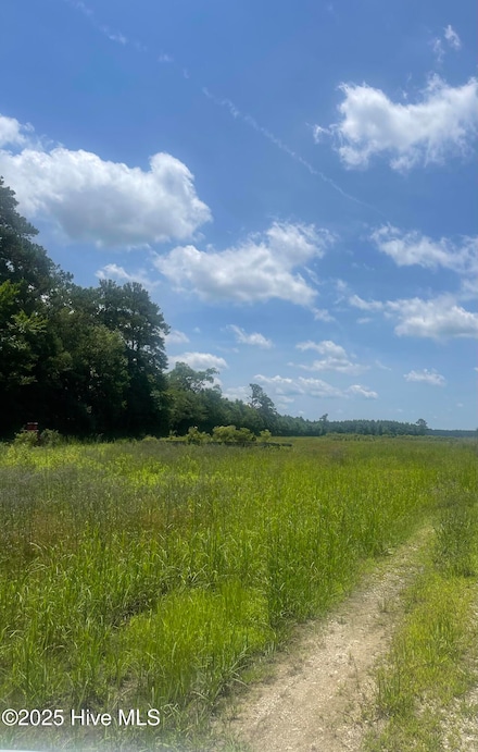 0 Magnolia Ln, Trenton, NC 28585