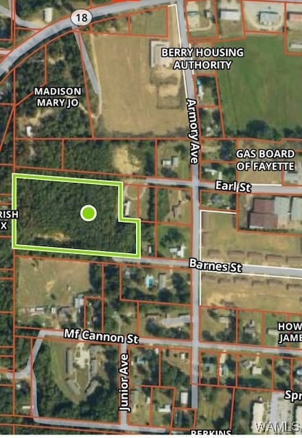 00 Earl St, Berry, AL 35546