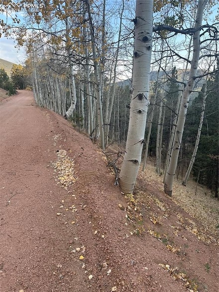 287 Horseshoe Dr, Divide, CO 80814