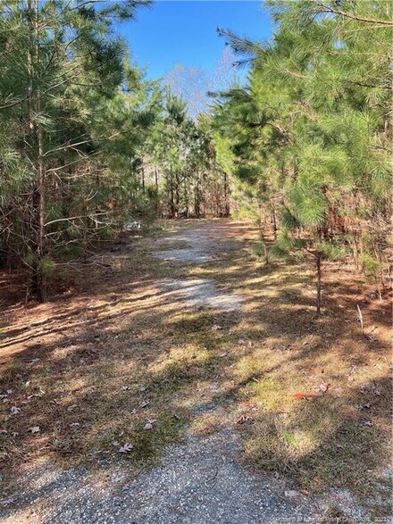 6877 River Bend Rd, Linden, NC 28356