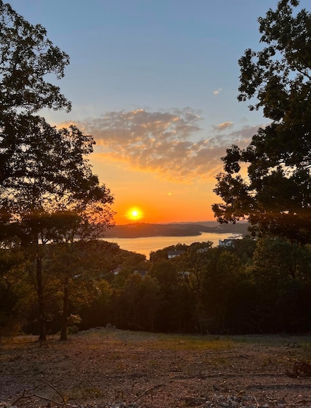 Lots 1 White Bluff, Branson West, MO 65737