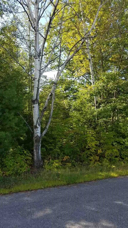 00 Upper Birch Dr Unit 25, Bristol, NH 03222