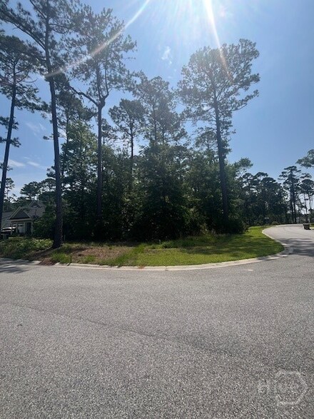 75 Pulaski Dr, Richmond Hill, GA 31324