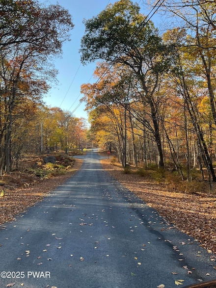 105 Duffys Dr, Delaware Township, PA 18328